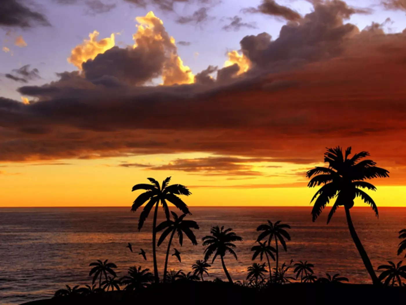 Sunset over the Lagoon Enjoy sunsets over the waters of Bora Bora's lagoon