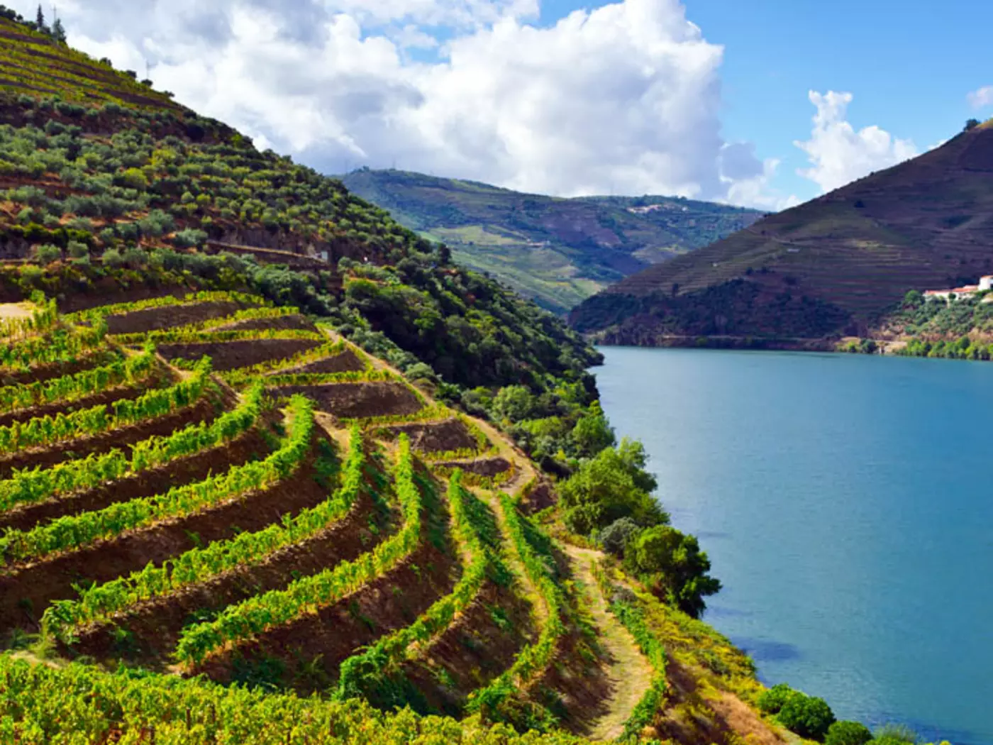 The Douro flows through northern Portugal an empties into the Atlantic Ocean at Porto