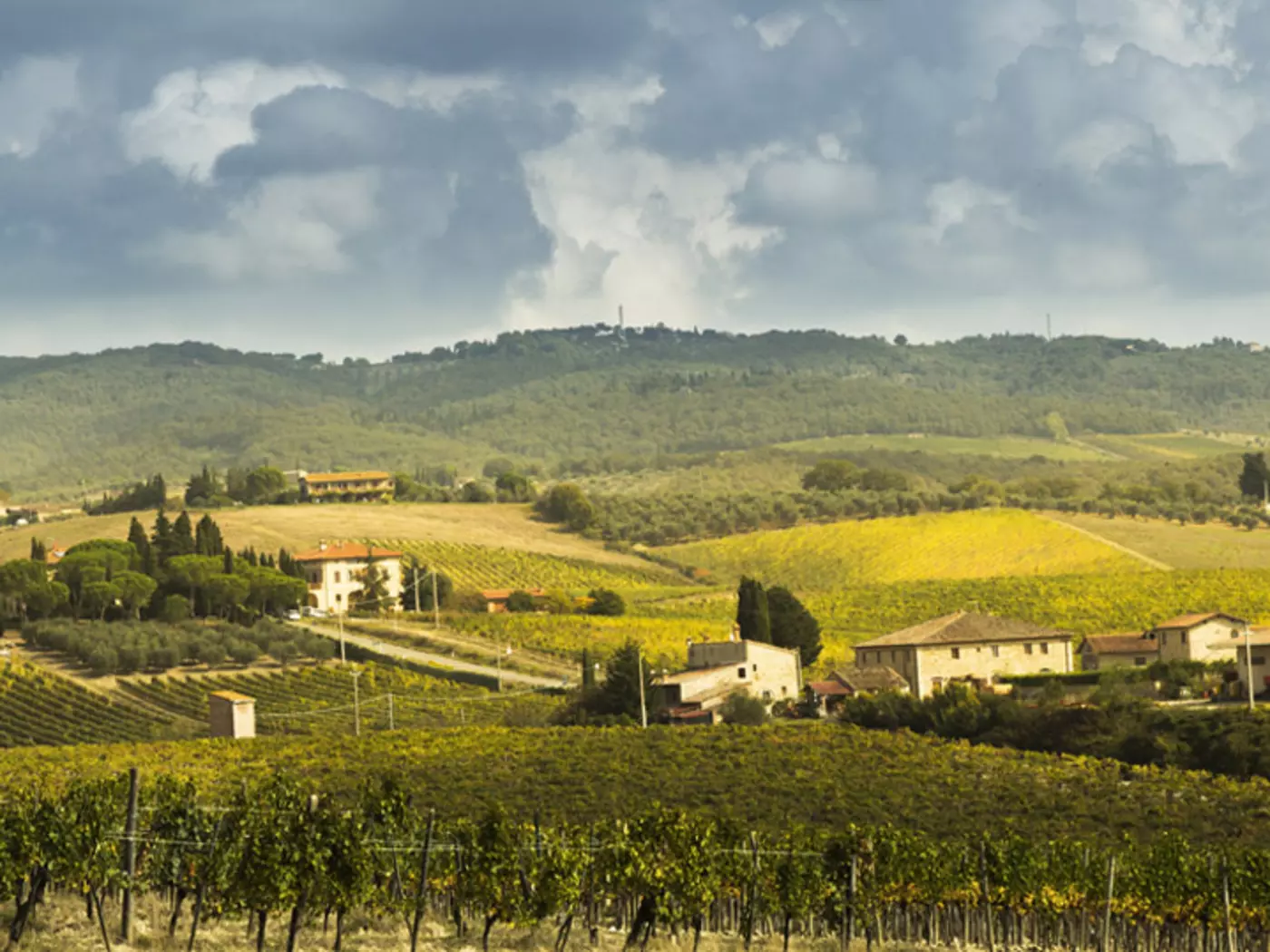 Tour beautiful Tuscany by Vespa