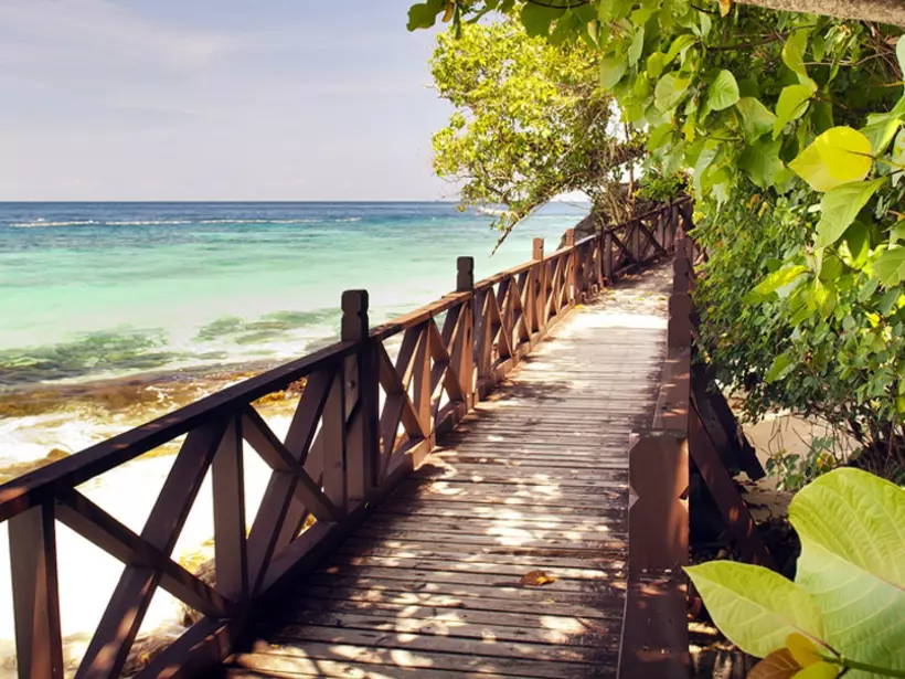 A walkway through the trees along one of Langkawi's beaches
