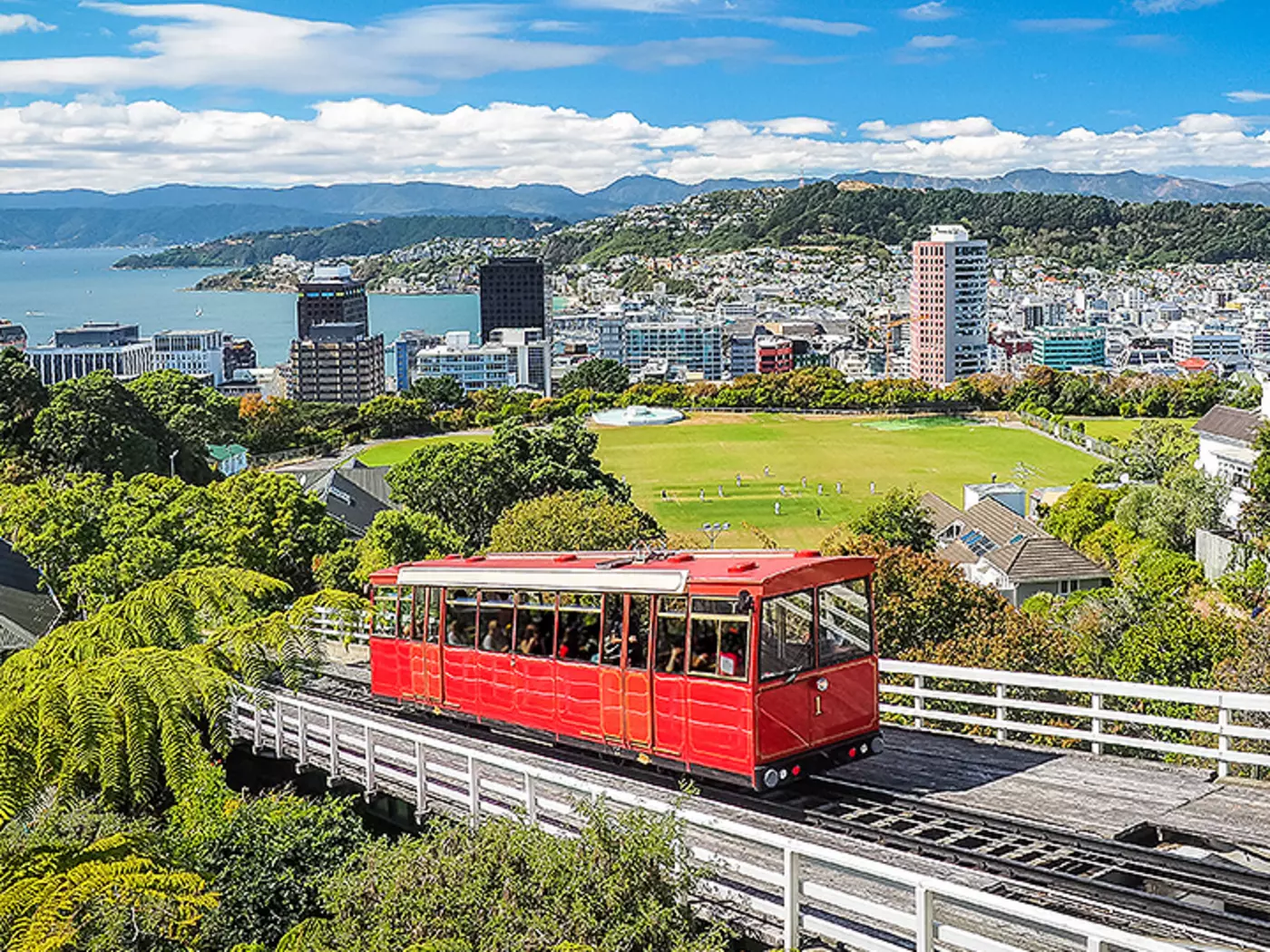 Wellington, New Zealand's charming capital