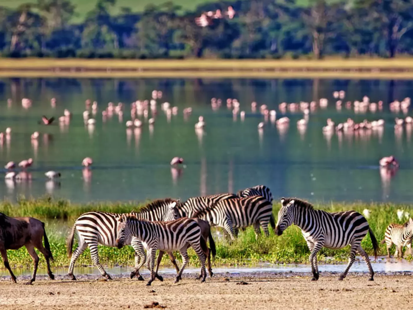 Ngorongoro Conservation Area