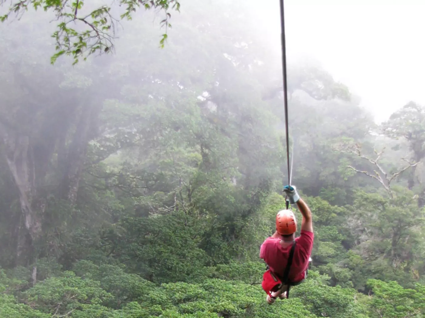 Zipline through the rainforest