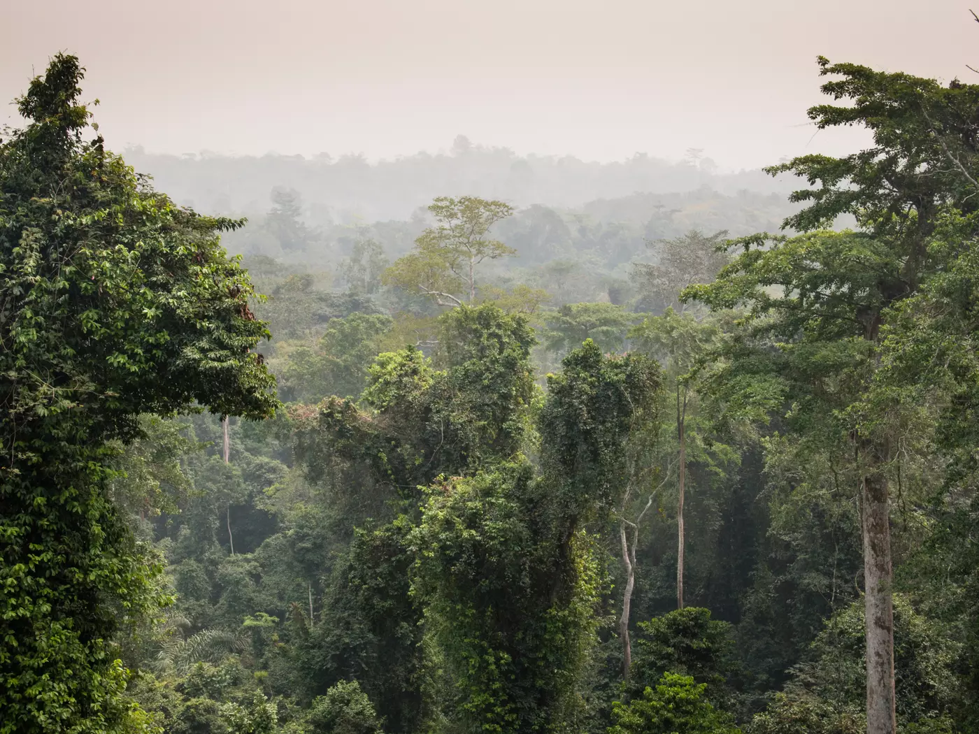 Kakum National Park