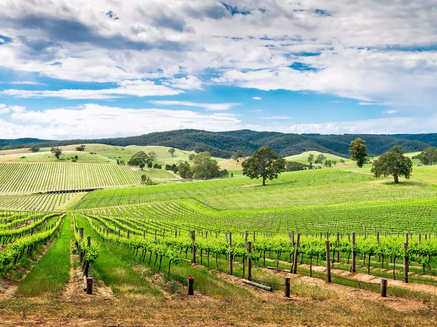 Barossa Valley