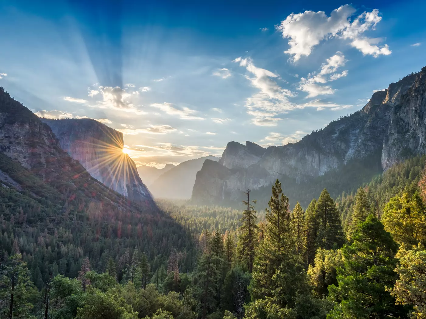 Capture the beauty of Yosemite National Park