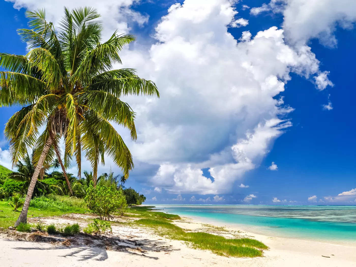 Relax surrounded by soothing sights