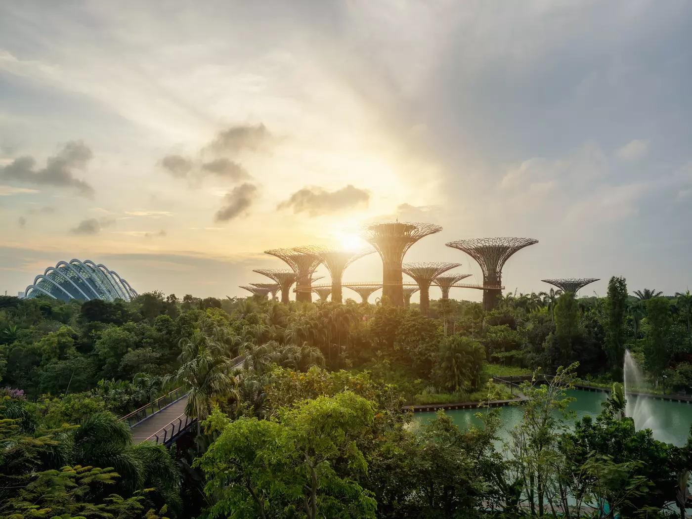 Wander the trees and greens of the Botanic Gardens