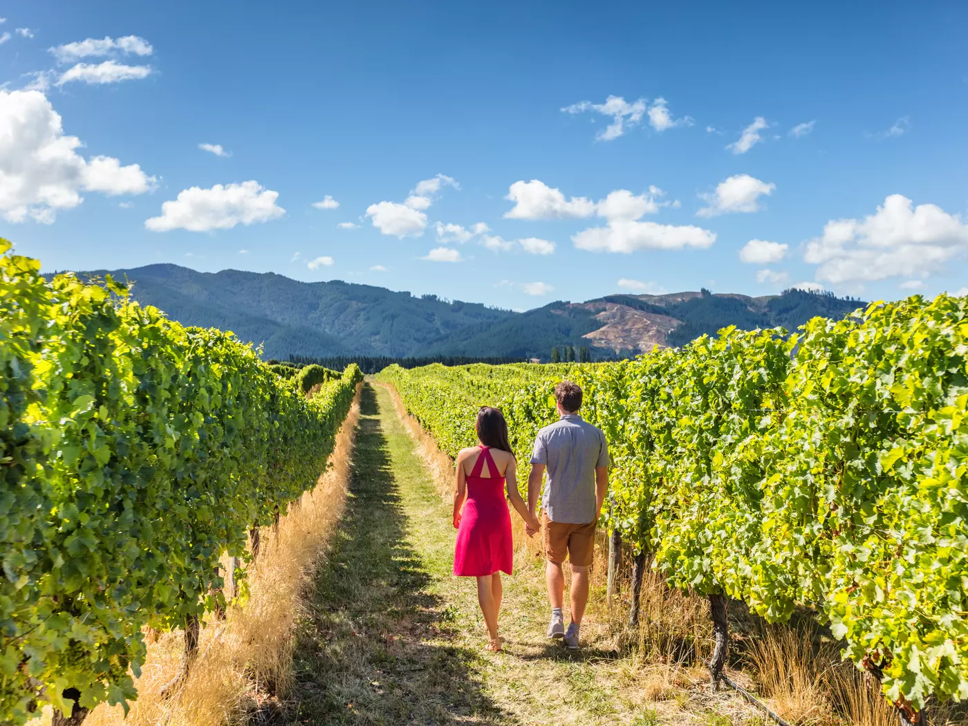 Marlborough Region Marlborough Region, New Zealand