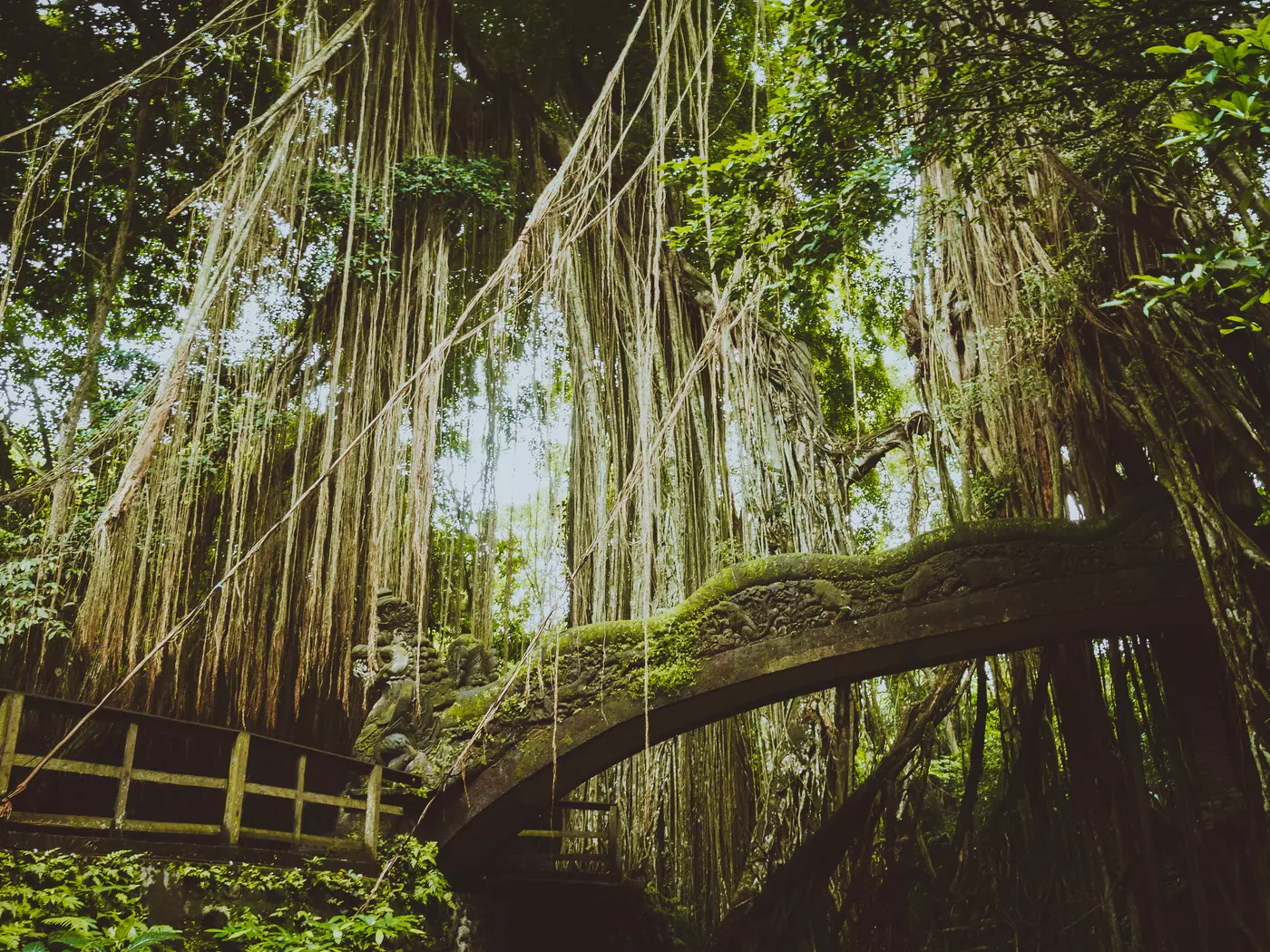 Enjoy the lush lands of the Sacred Monkey Forest Sanctuary