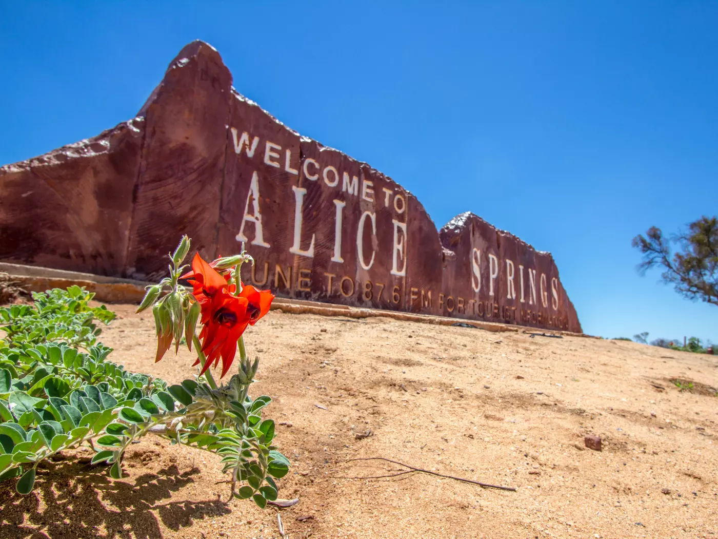 Enjoy the remote life in Alice Springs