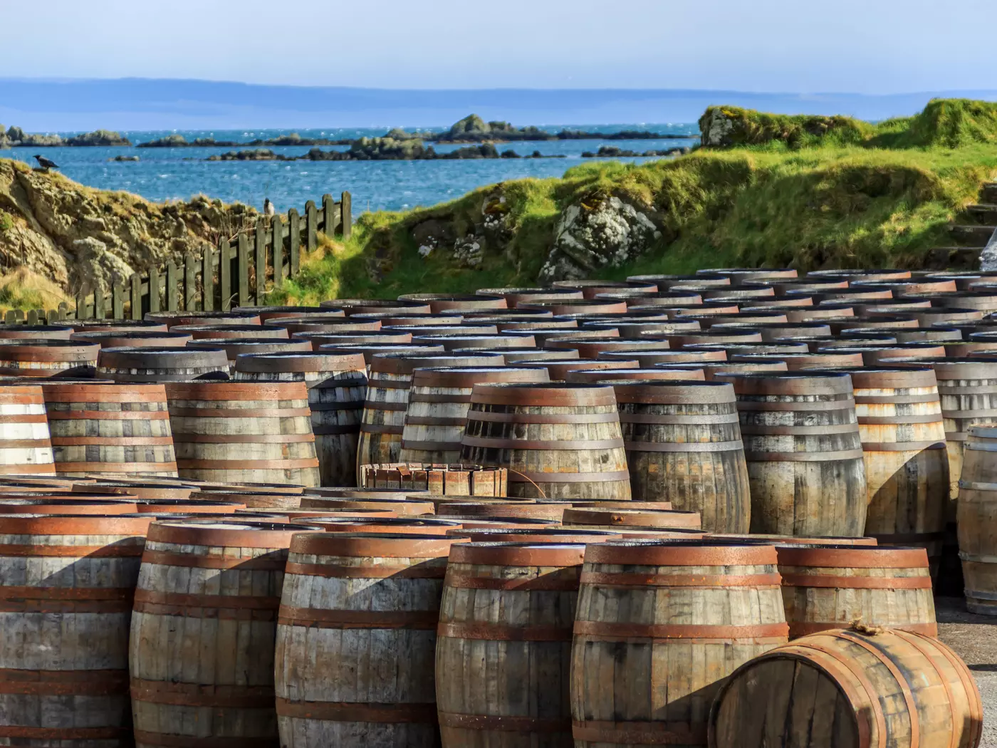 Tour and taste some of Scotland's most popular whiskeys on Islay