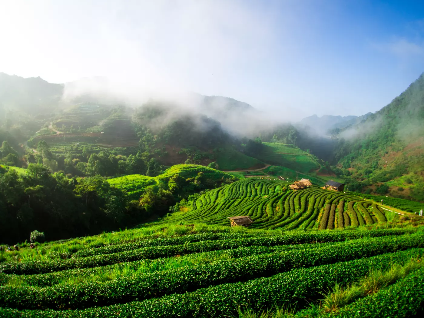 A tranquil morning unfolds over the picturesque landscape of Northern Thailand