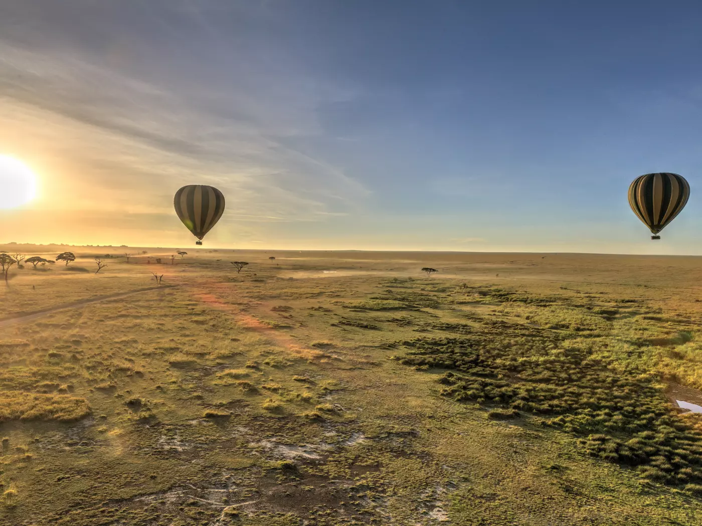 Admire the vast landscape of Serengeti National Park