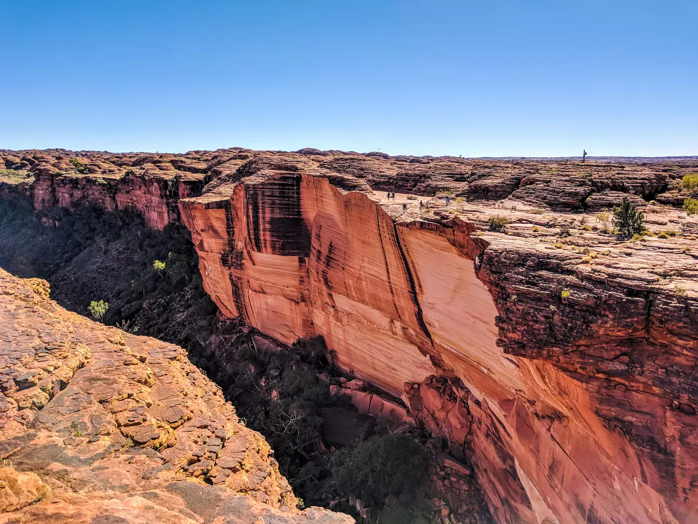 Explore the depths of Kings Canyon