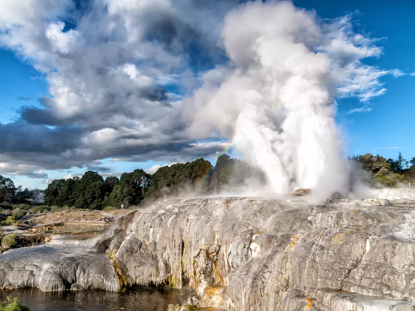 Pohutu Geyser, Te Puia National Park Pohutu Geyser, Te Puia National Park, New Zealand