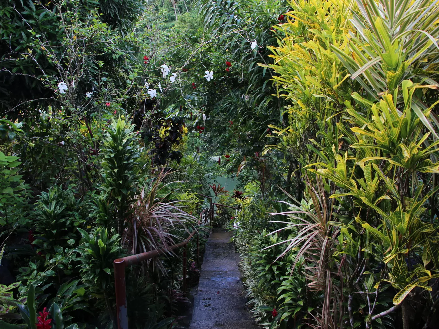 Explore the lush lands of the island