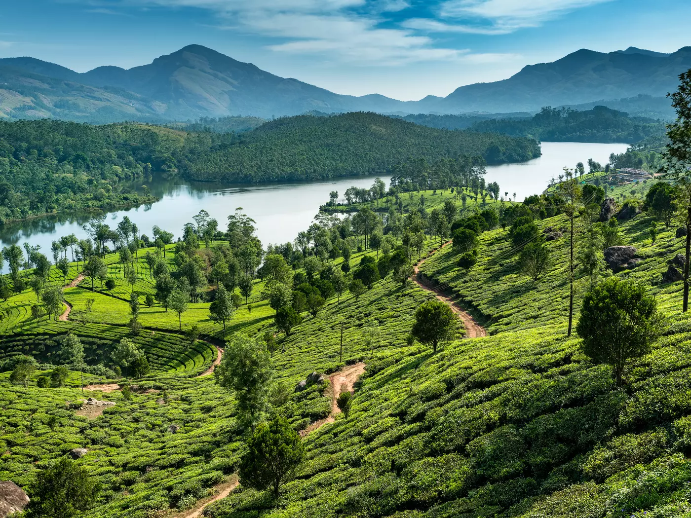 Venture through the stunning landscape of Kerala