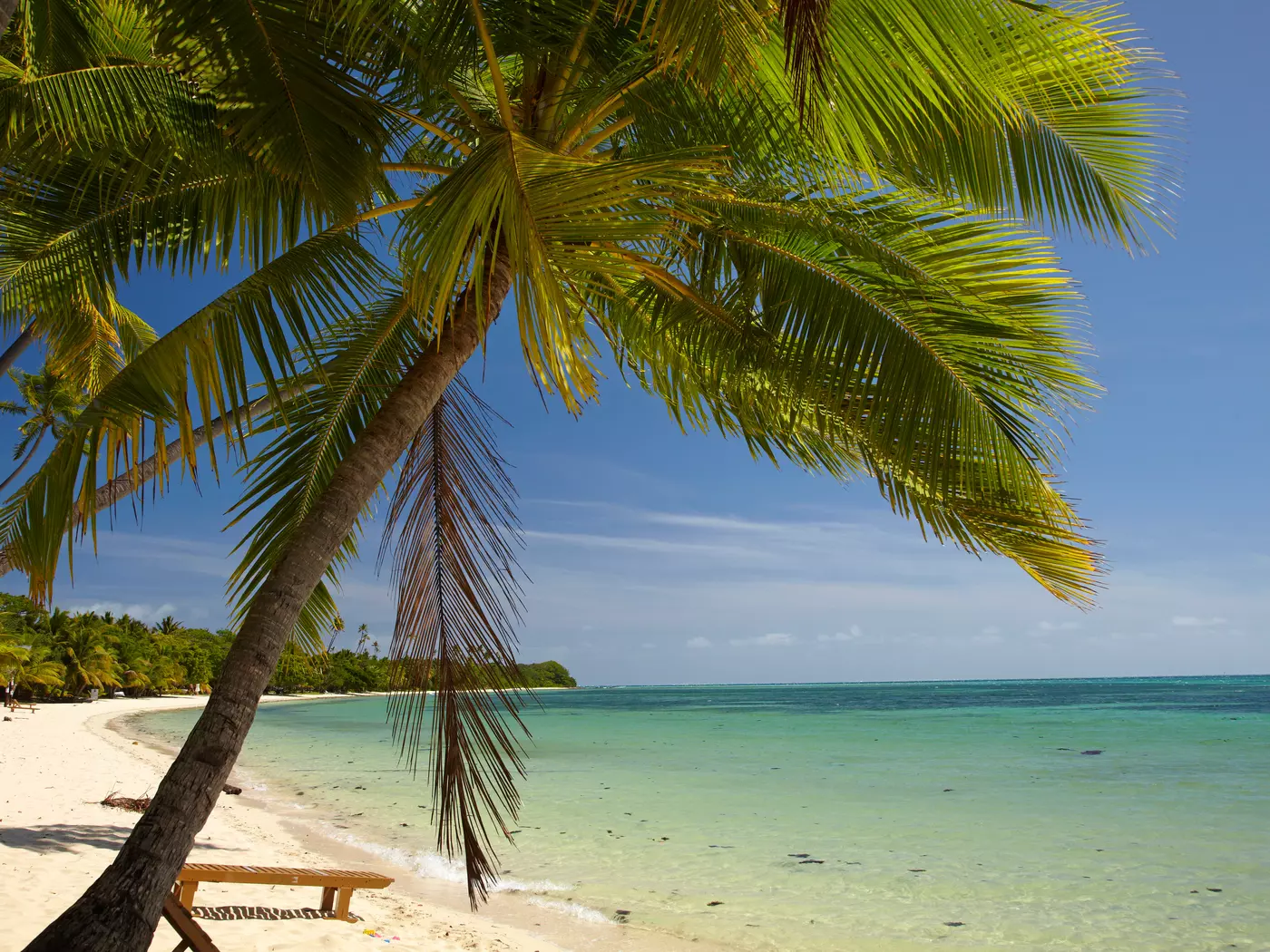 Tropical beach views