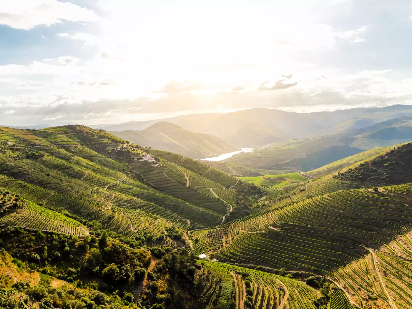 Douro Valley  