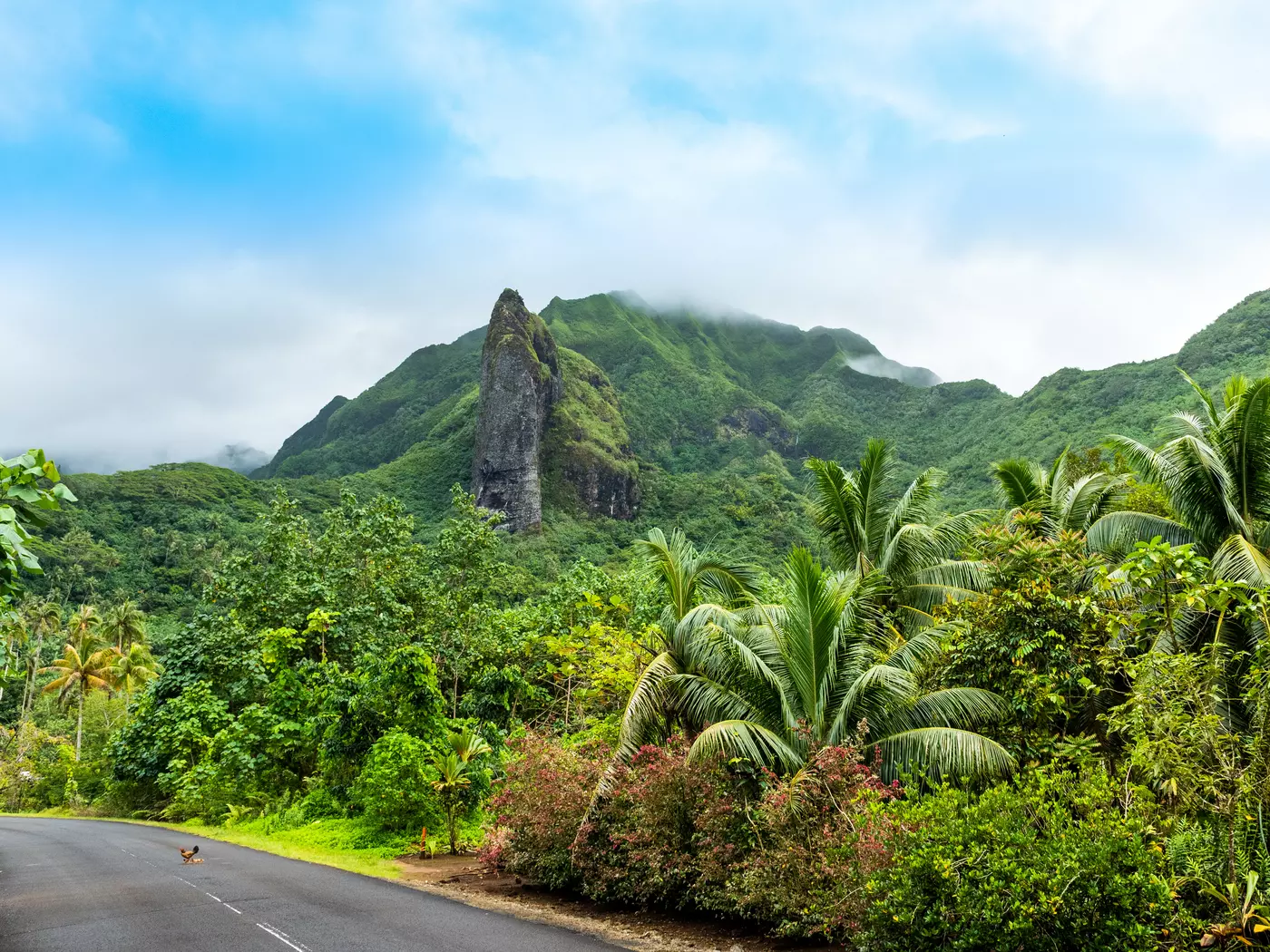 Raiatea island Landscape of Raiatea island