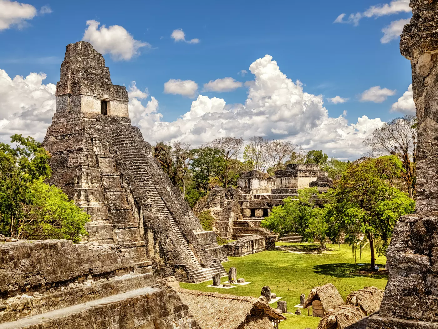 Explore the historic ruins of Tikal National Park