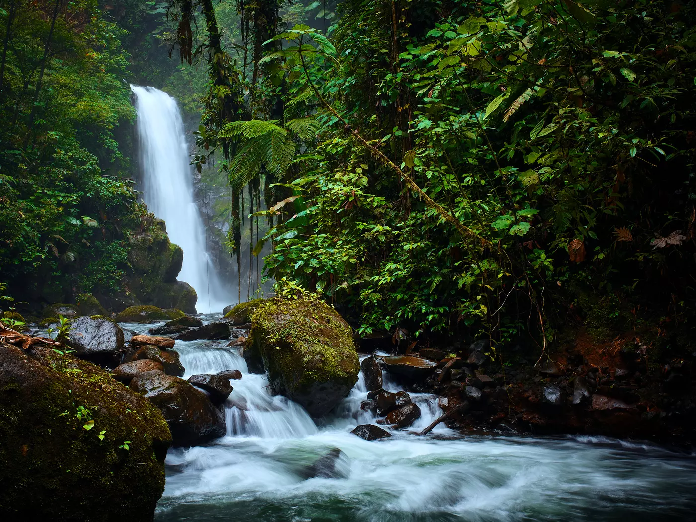 La Paz Waterfall Garden