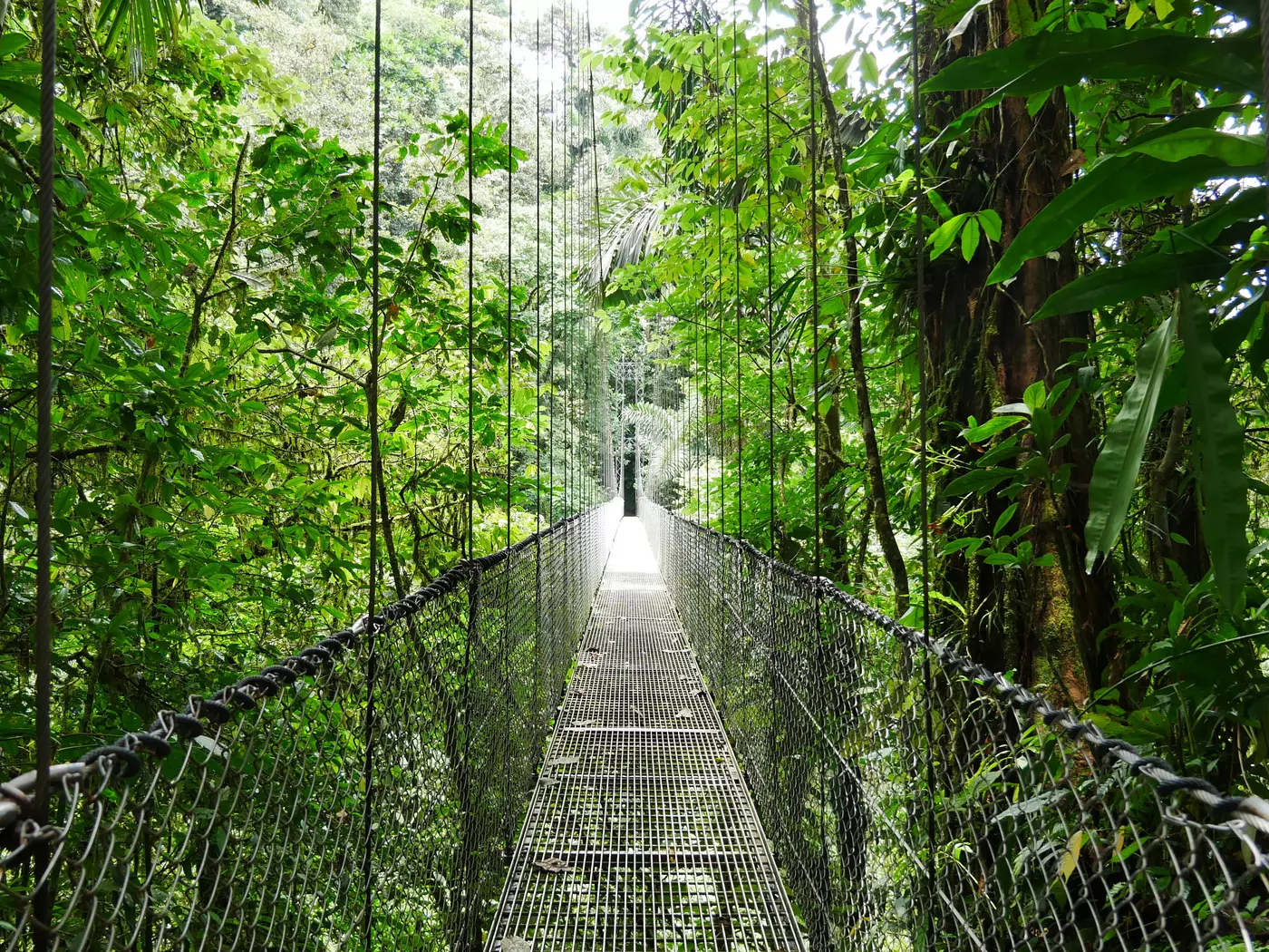 Suspension bridge near Arenal volcano