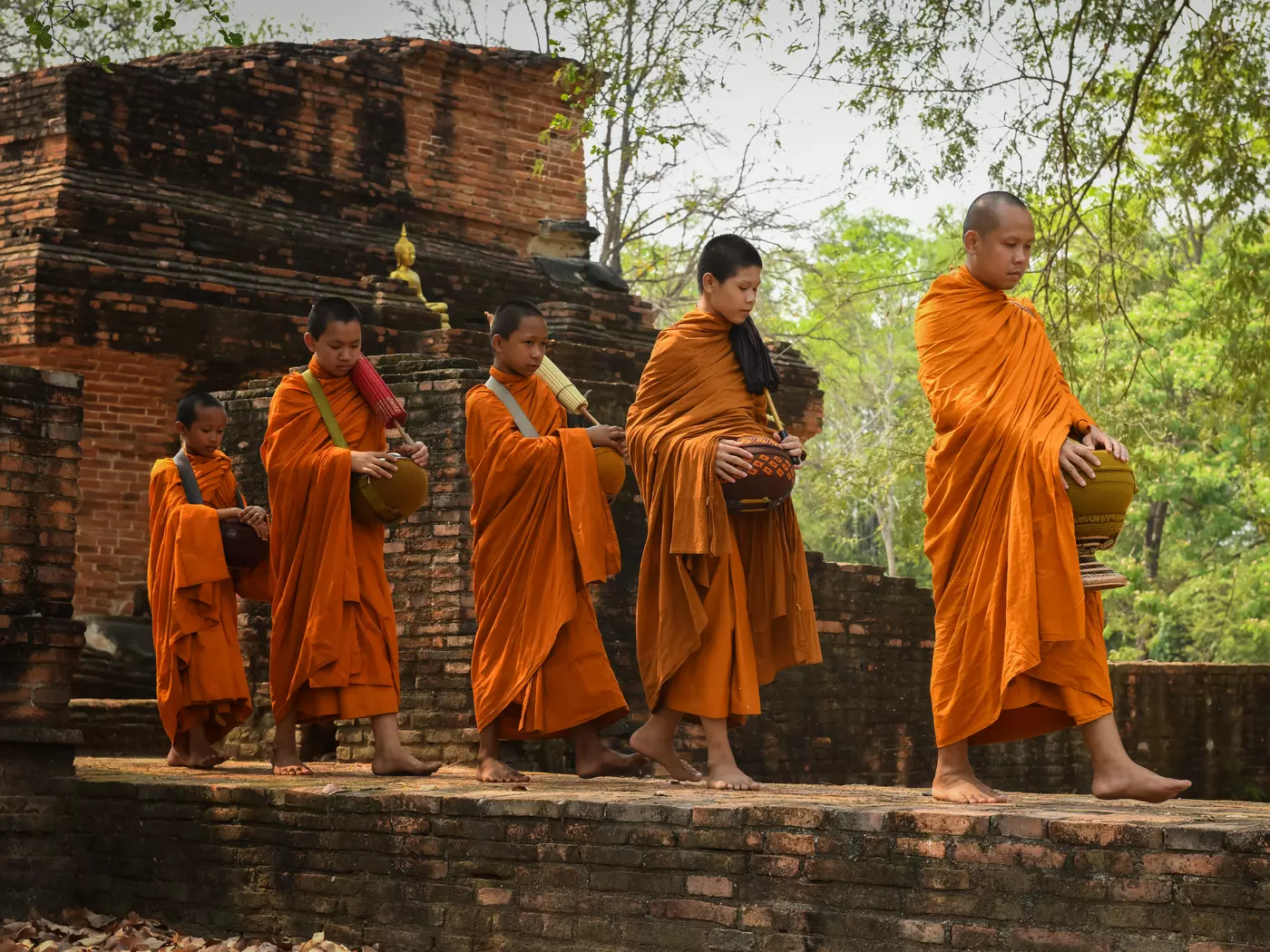 Monks collecting alms is a traditional Buddhist practice where monks walk through the community at dawn to receive food offerings from devotees, symbolizing humility and mutual generosity
