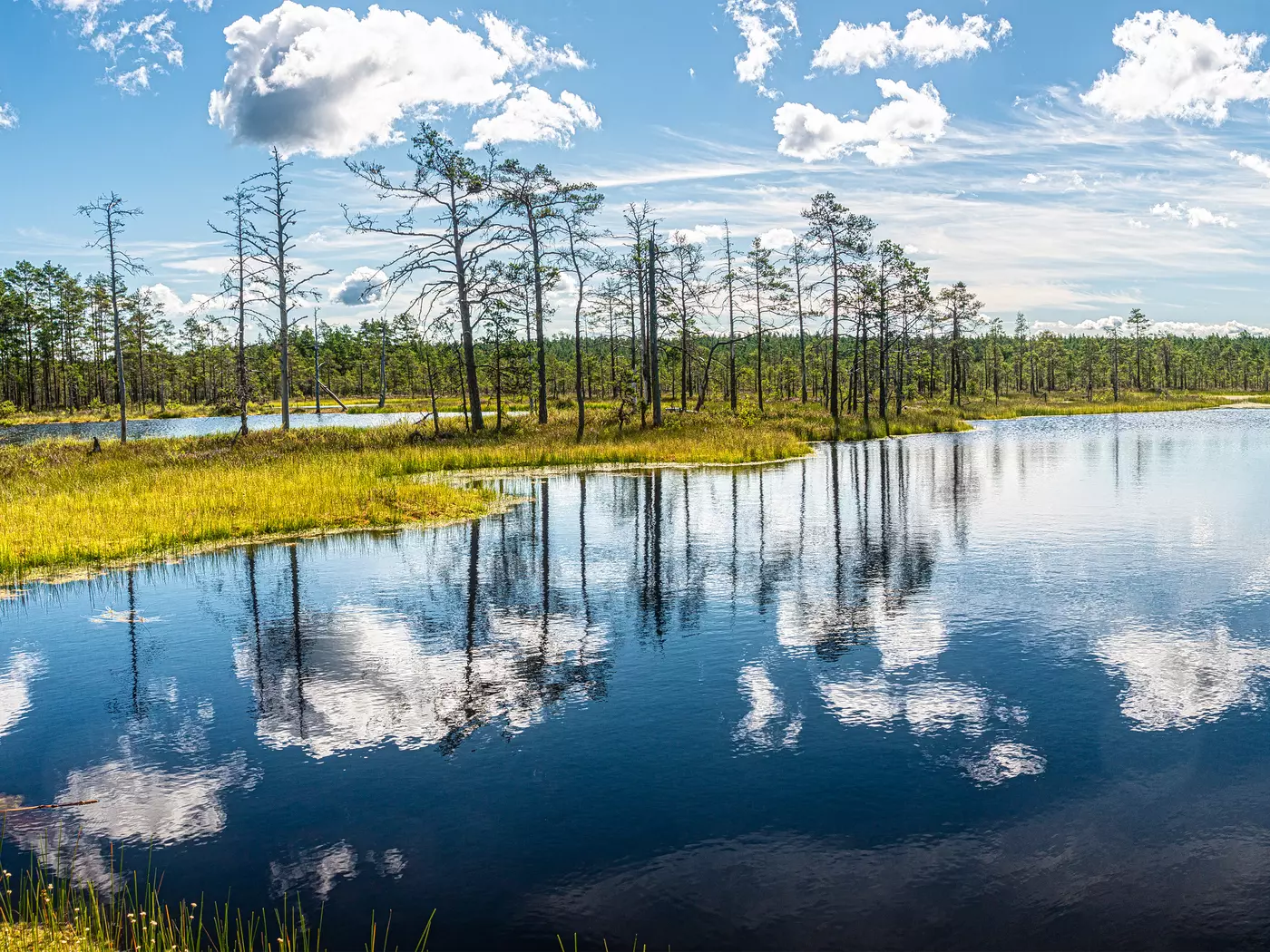 Lahemaa National Park, Estonia