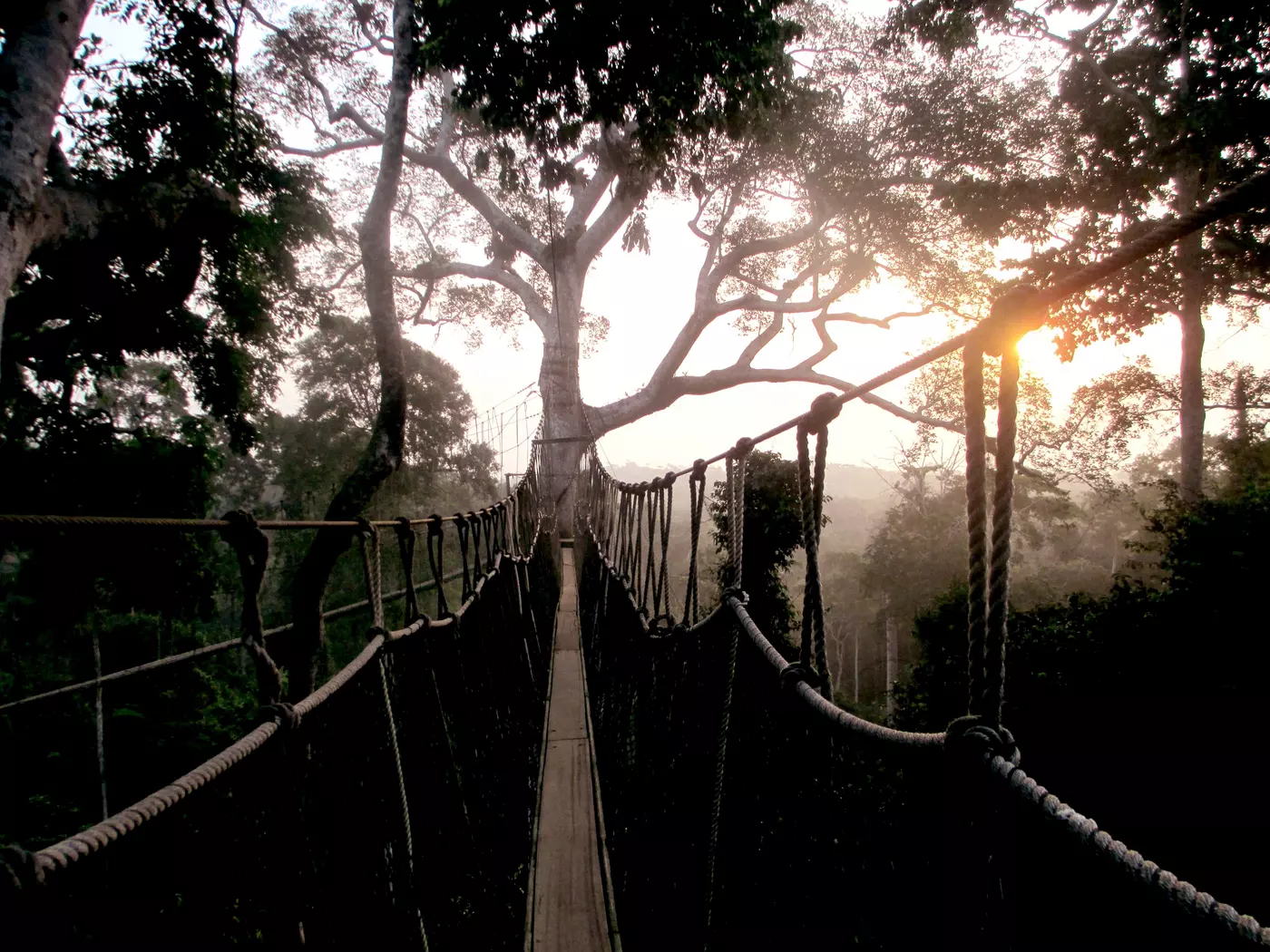Wander amongst the tree tops at Kakum National Park