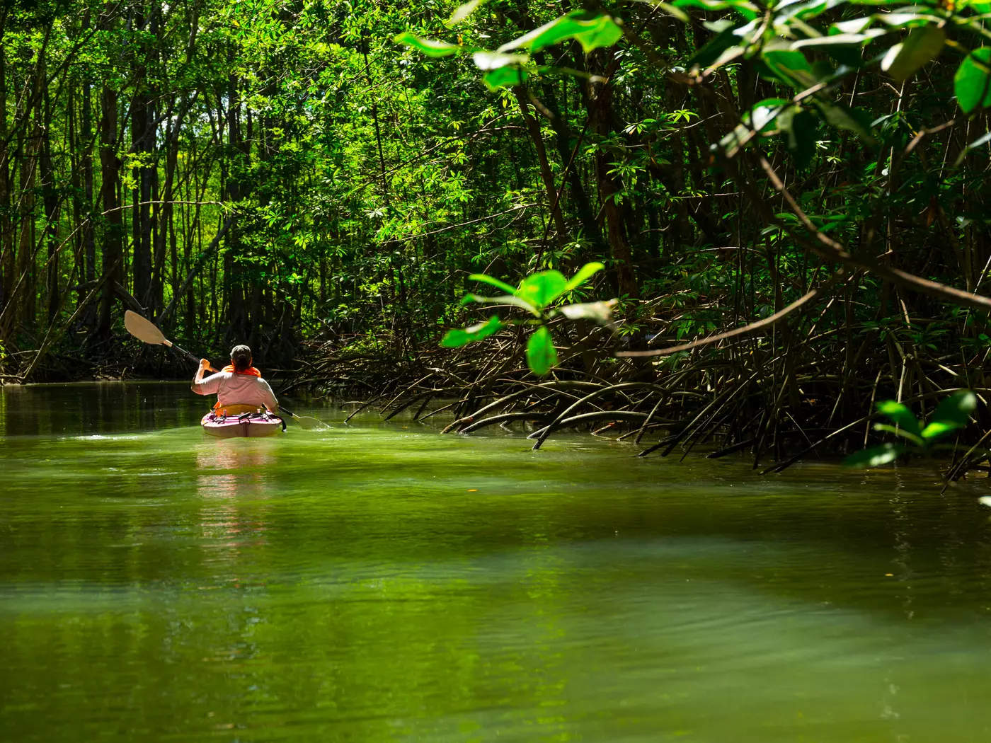 Kayaking on Osa Peninsula, Costa Rica