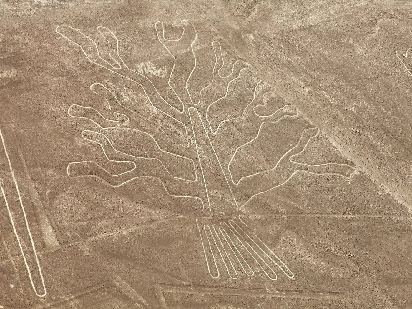 The Nazca lines