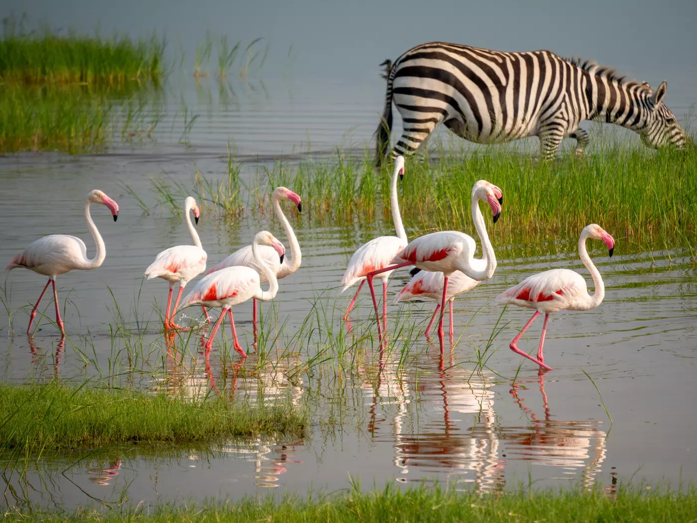 Ngorongoro Conservation Area in Tanzania, Africa