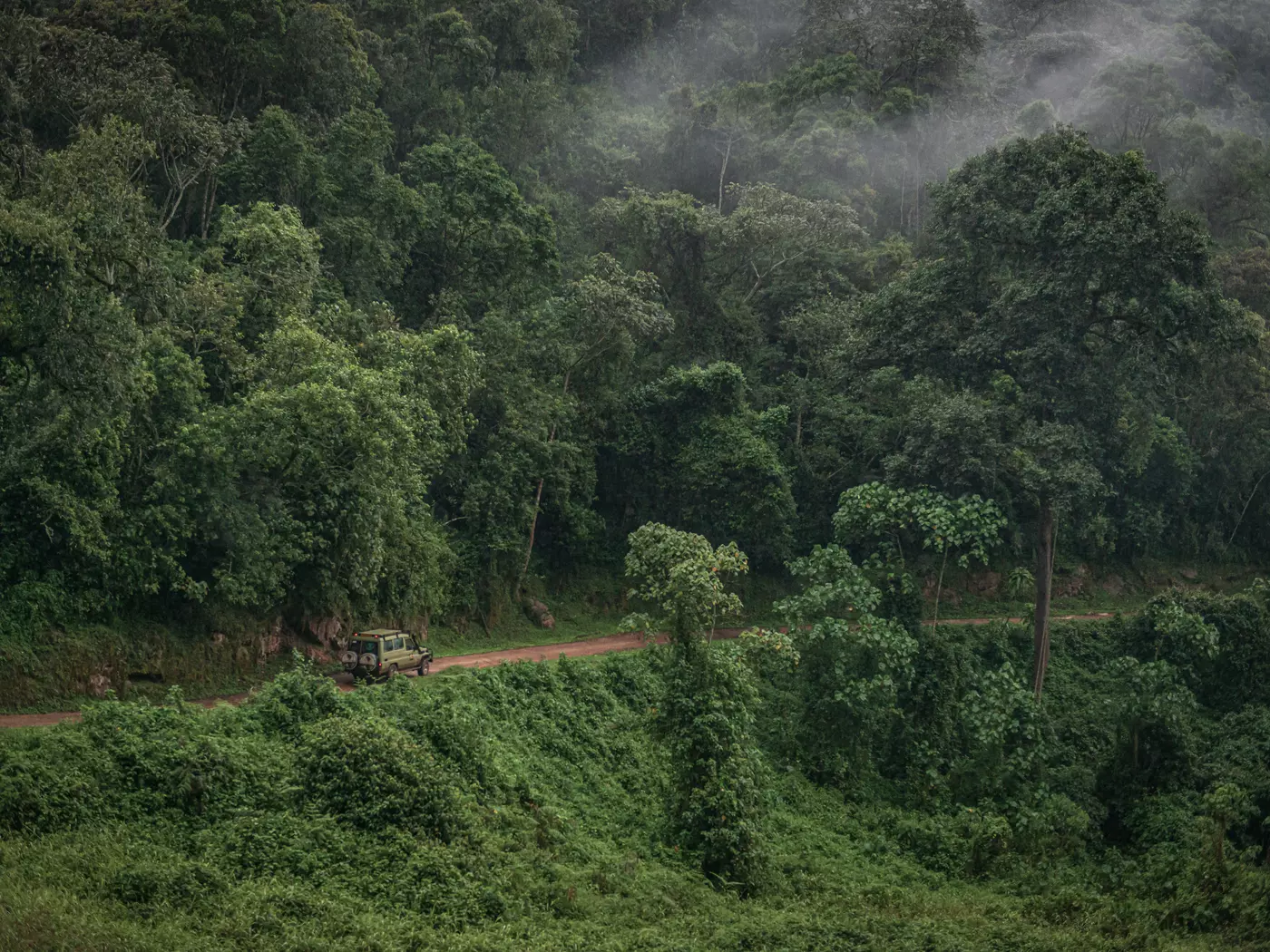 Bwindi Impenetrable Forest