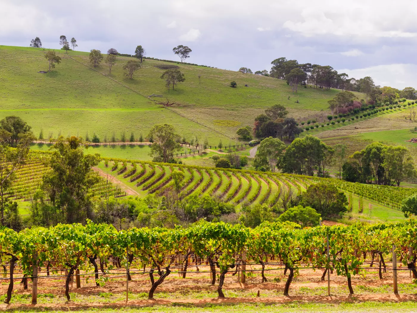 Hunter Valley