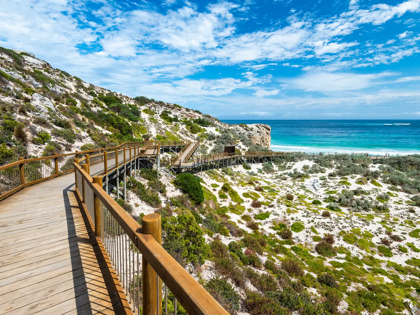 Seal Bay boardwalk