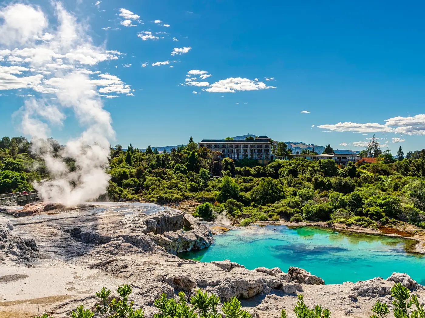 Te Puia Geyser