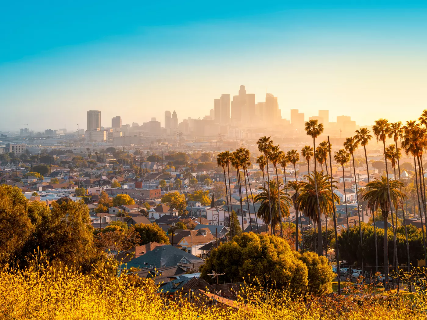 Exploring LA and the surrounding sights