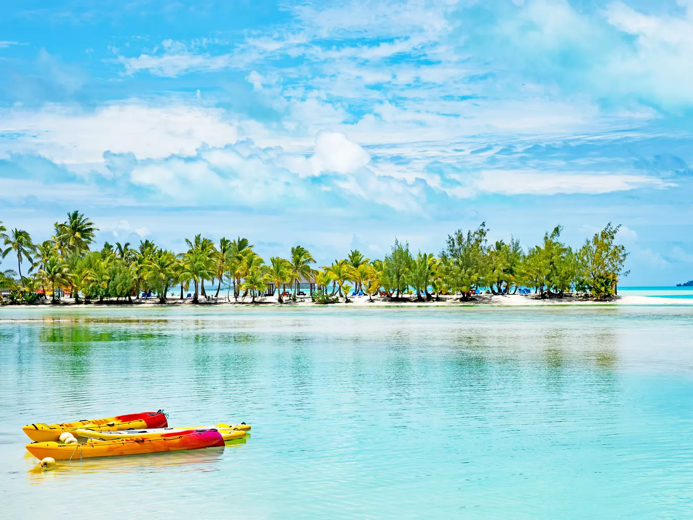 Dive into the clear coastal waters