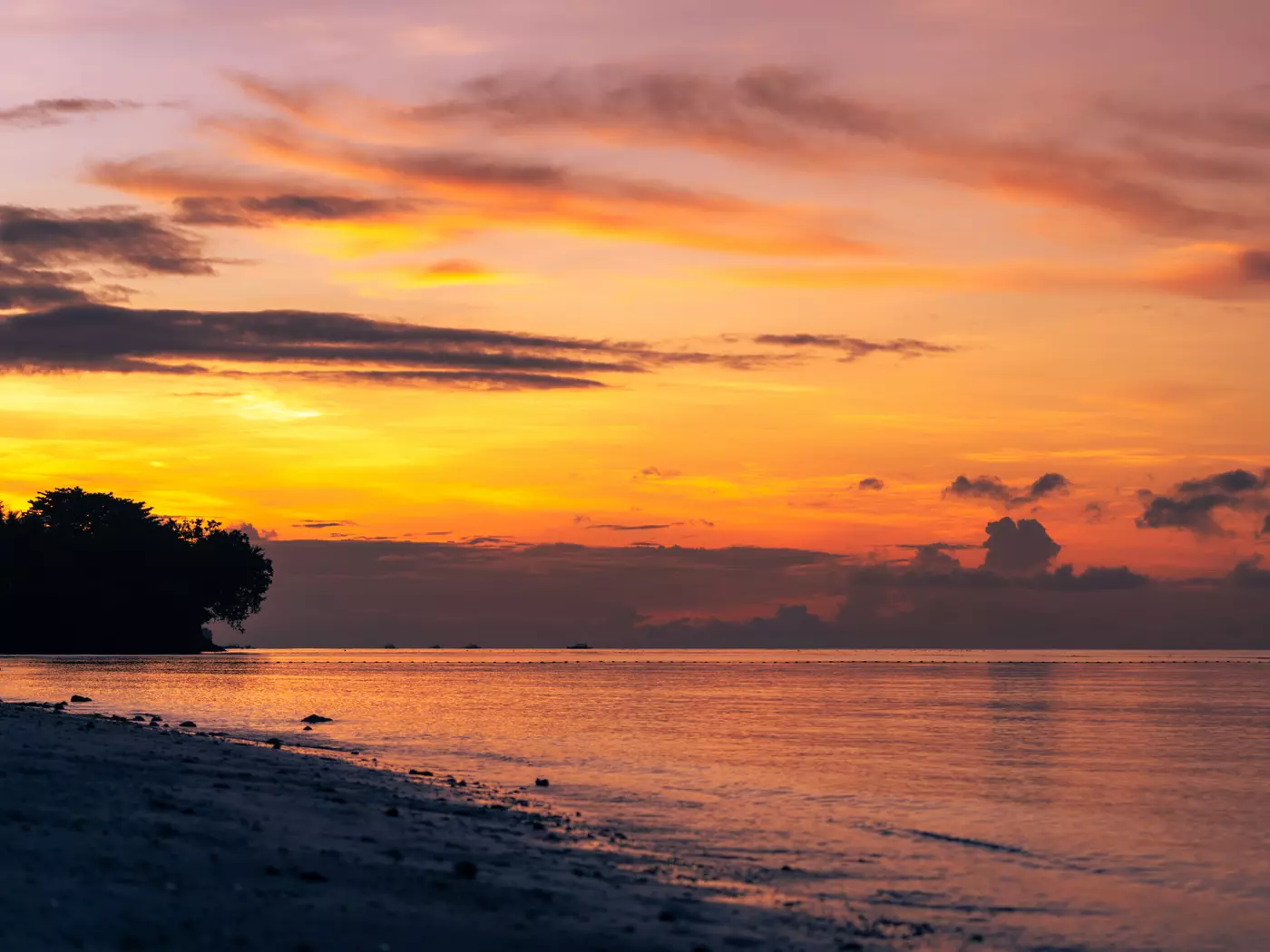 Bohol
