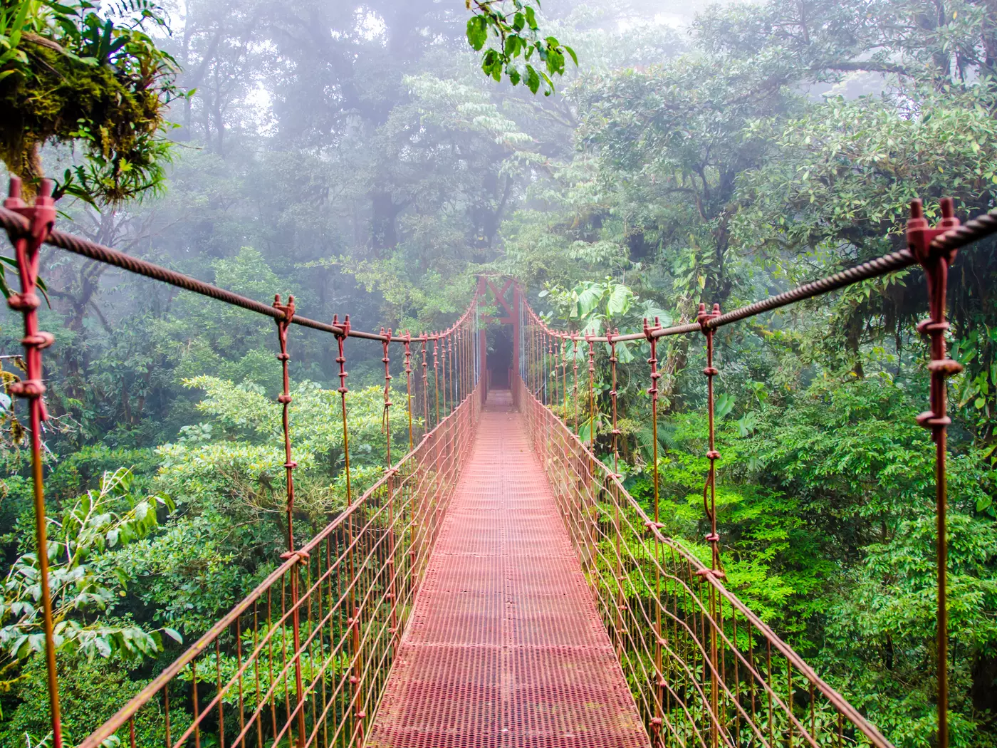 Monteverde, Costa Rica