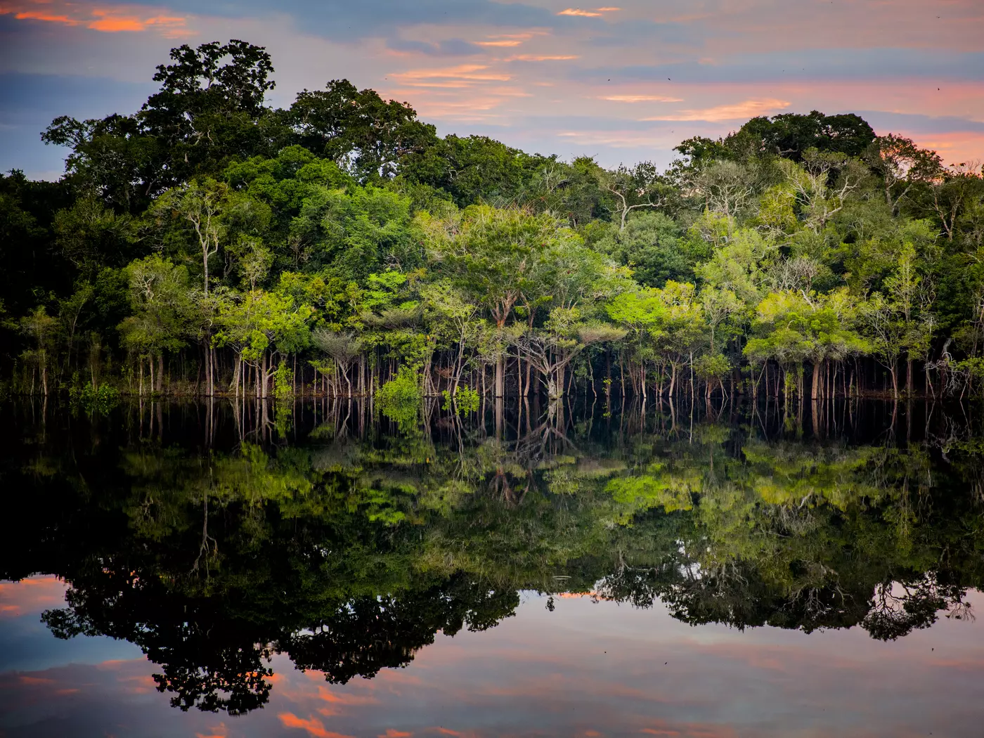 Brazil's Amazon Rainforest