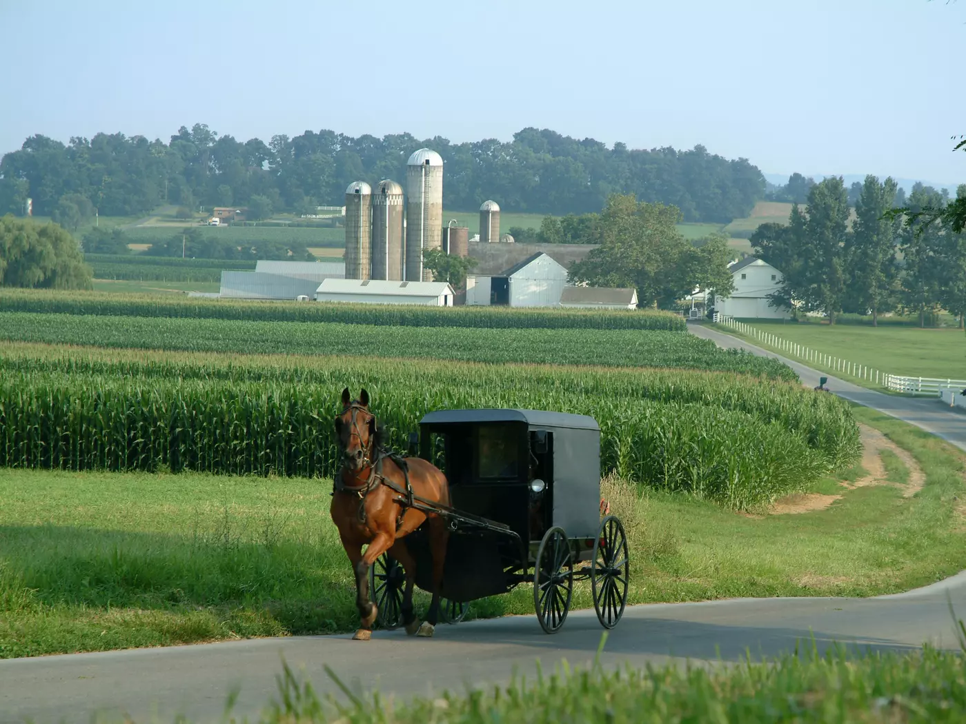 Amish Country