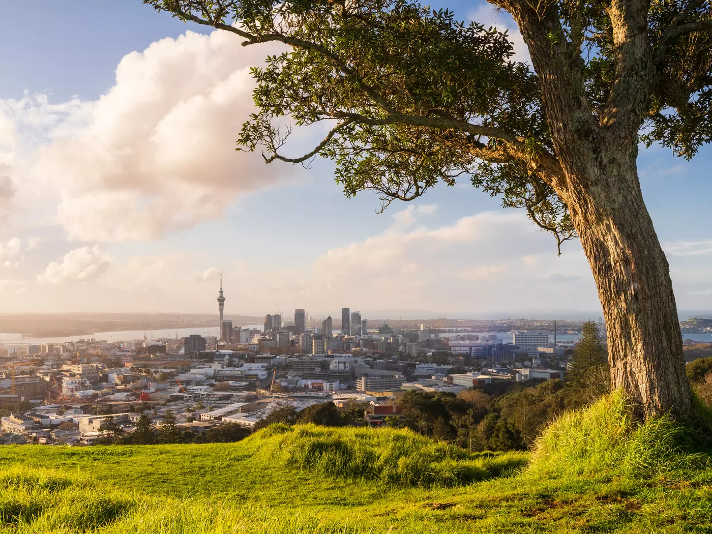 Auckland, New Zealand Auckland, gateway to New Zealand