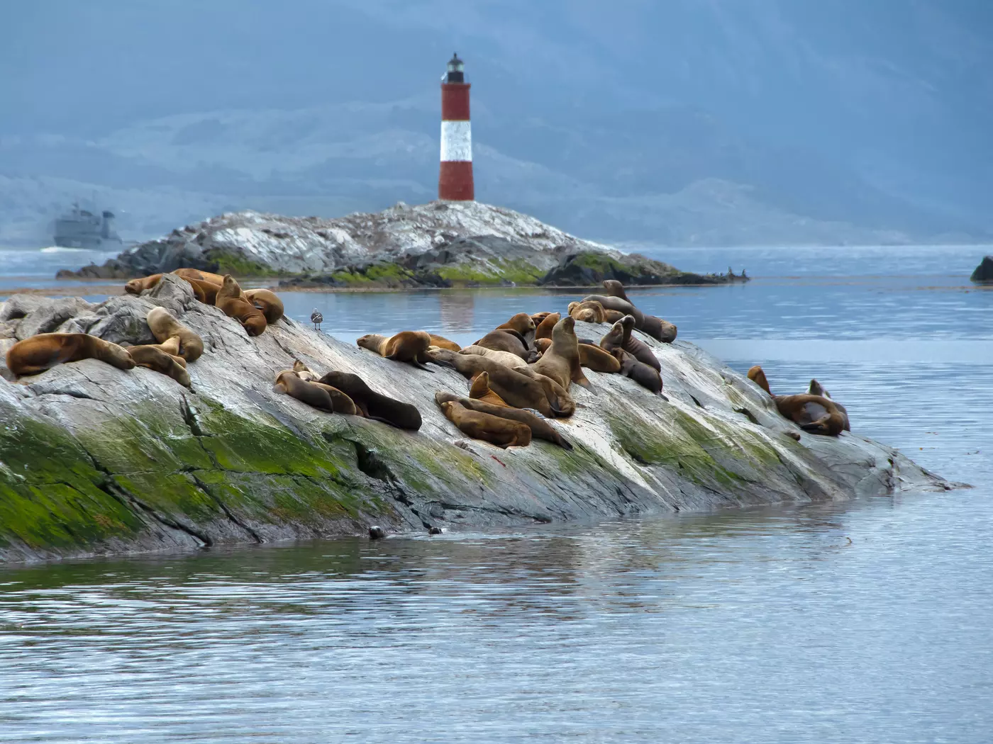 Beagle Channel