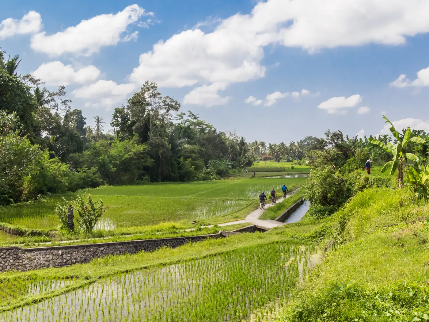 Cycling in rural Bali