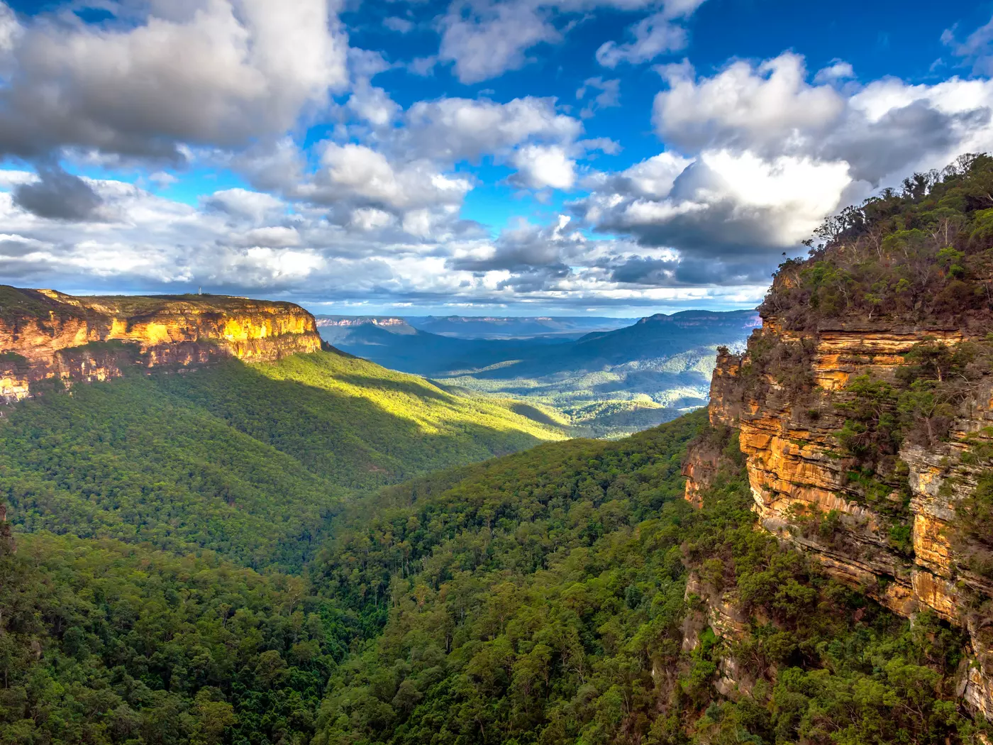 Blue mountains national park