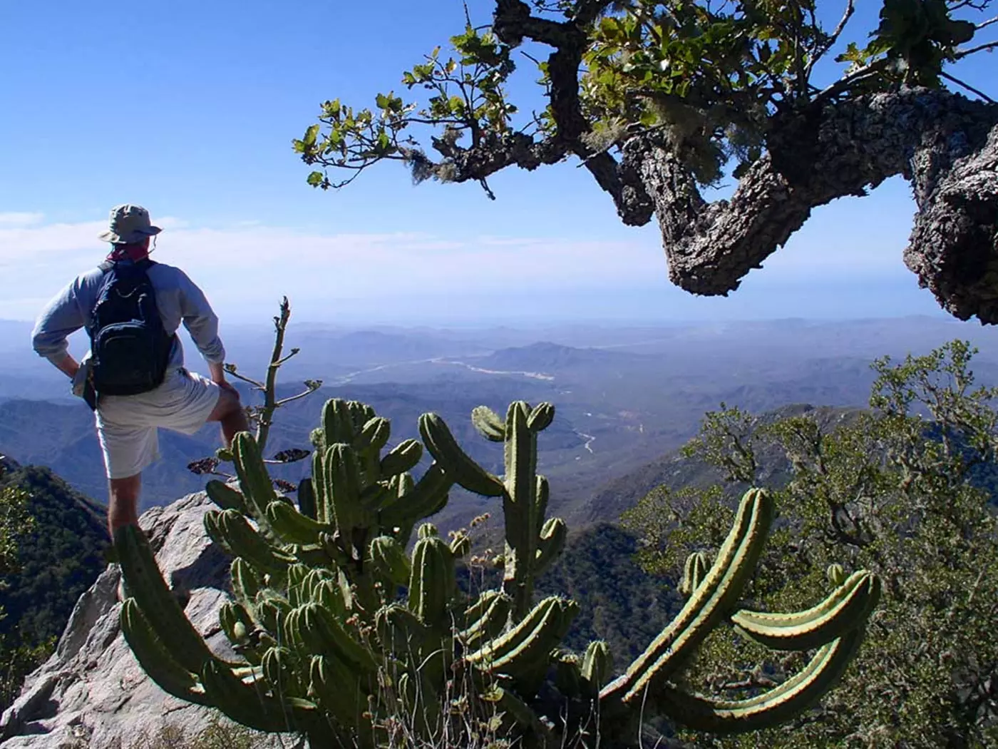 Hiking the Sierras