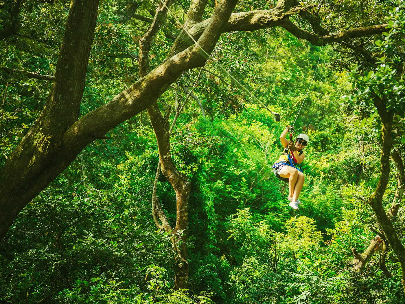 Canopy Tour, Costa Rica